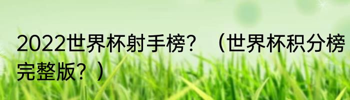 2022世界杯射手榜？（世界杯积分榜完整版？）