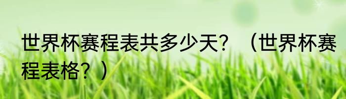 世界杯赛程表共多少天？（世界杯赛程表格？）