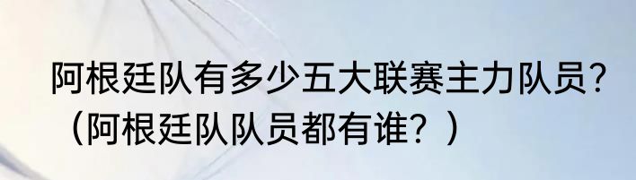 阿根廷队有多少五大联赛主力队员？（阿根廷队队员都有谁？）