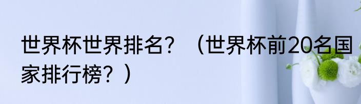 世界杯世界排名？（世界杯前20名国家排行榜？）