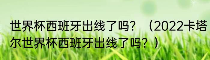 世界杯西班牙出线了吗？（2022卡塔尔世界杯西班牙出线了吗？）