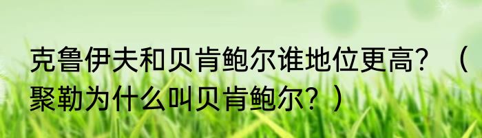 克鲁伊夫和贝肯鲍尔谁地位更高？（聚勒为什么叫贝肯鲍尔？）