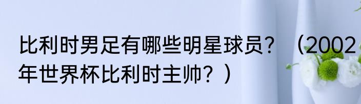 比利时男足有哪些明星球员？（2002年世界杯比利时主帅？）