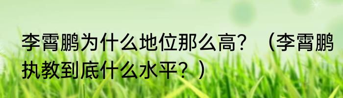李霄鹏为什么地位那么高？（李霄鹏执教到底什么水平？）