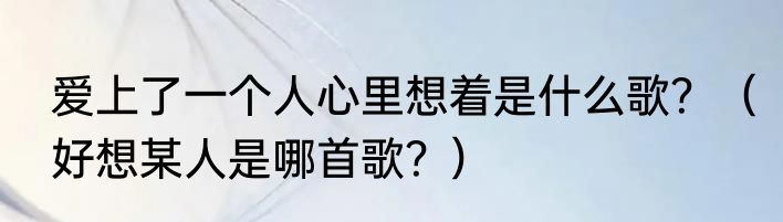 爱上了一个人心里想着是什么歌？（好想某人是哪首歌？）