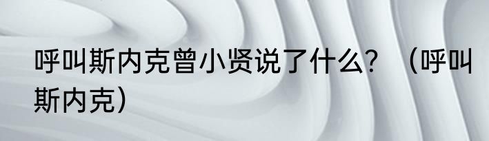 呼叫斯内克曾小贤说了什么？（呼叫斯内克）