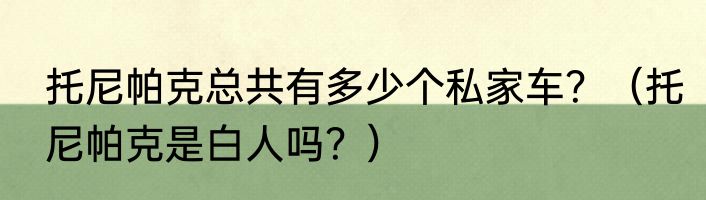 托尼帕克总共有多少个私家车？（托尼帕克是白人吗？）