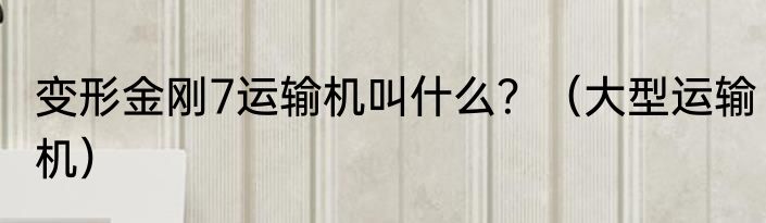 变形金刚7运输机叫什么？（大型运输机）