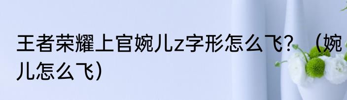 王者荣耀上官婉儿z字形怎么飞？（婉儿怎么飞）
