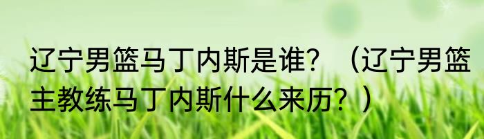 辽宁男篮马丁内斯是谁？（辽宁男篮主教练马丁内斯什么来历？）