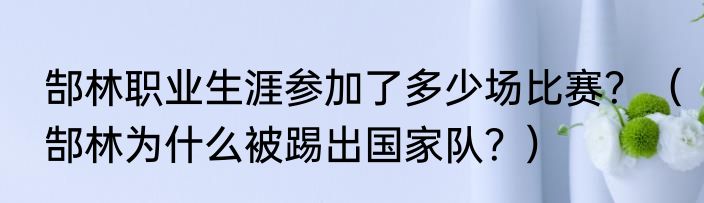 郜林职业生涯参加了多少场比赛？（郜林为什么被踢出国家队？）