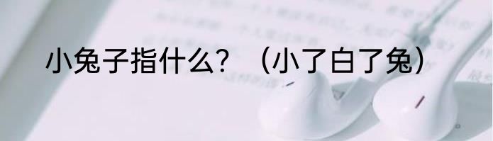 小兔子指什么？（小了白了兔）