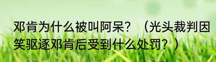 邓肯为什么被叫阿呆？（光头裁判因笑驱逐邓肯后受到什么处罚？）