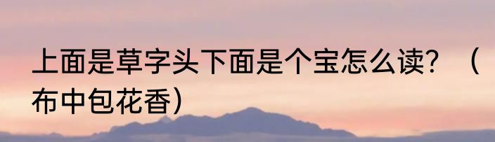 上面是草字头下面是个宝怎么读？（布中包花香）