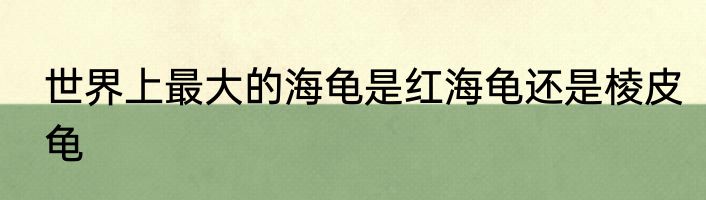 世界上最大的海龟是红海龟还是棱皮龟