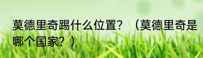 莫德里奇踢什么位置？（莫德里奇是哪个国家？）