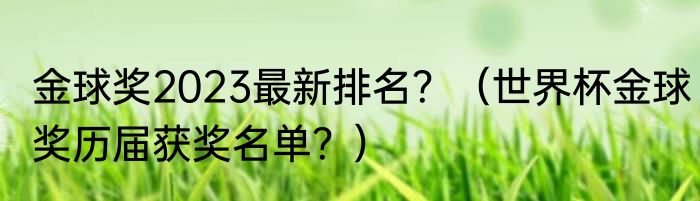 金球奖2023最新排名？（世界杯金球奖历届获奖名单？）