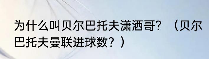 为什么叫贝尔巴托夫潇洒哥？（贝尔巴托夫曼联进球数？）