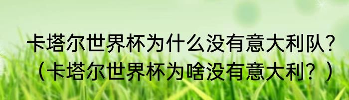 卡塔尔世界杯为什么没有意大利队？（卡塔尔世界杯为啥没有意大利？）