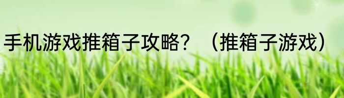 手机游戏推箱子攻略？（推箱子游戏）