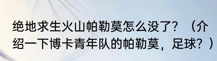 绝地求生火山帕勒莫怎么没了？（介绍一下博卡青年队的帕勒莫，足球？）
