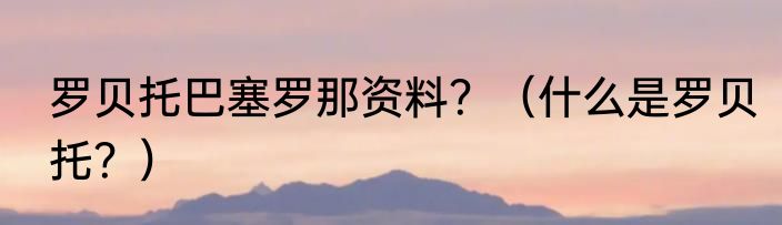 罗贝托巴塞罗那资料？（什么是罗贝托？）