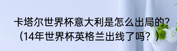 卡塔尔世界杯意大利是怎么出局的？（14年世界杯英格兰出线了吗？）