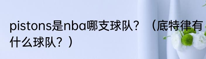 pistons是nba哪支球队？（底特律有什么球队？）