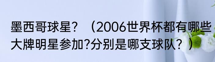 墨西哥球星？（2006世界杯都有哪些大牌明星参加?分别是哪支球队？）