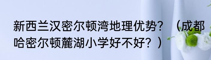 新西兰汉密尔顿湾地理优势？（成都哈密尔顿麓湖小学好不好？）