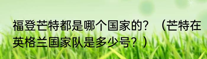 福登芒特都是哪个国家的？（芒特在英格兰国家队是多少号？）