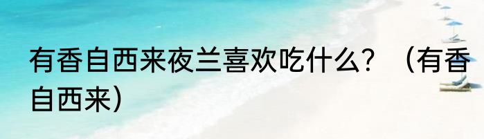 有香自西来夜兰喜欢吃什么？（有香自西来）
