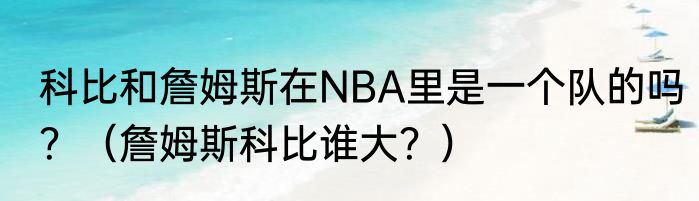 科比和詹姆斯在NBA里是一个队的吗？（詹姆斯科比谁大？）