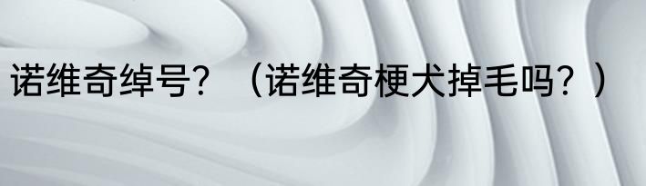 诺维奇绰号？（诺维奇梗犬掉毛吗？）