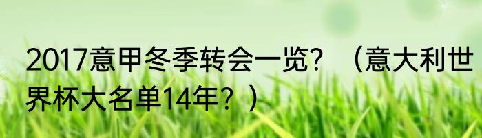 2017意甲冬季转会一览？（意大利世界杯大名单14年？）