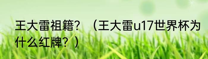 王大雷祖籍？（王大雷u17世界杯为什么红牌？）