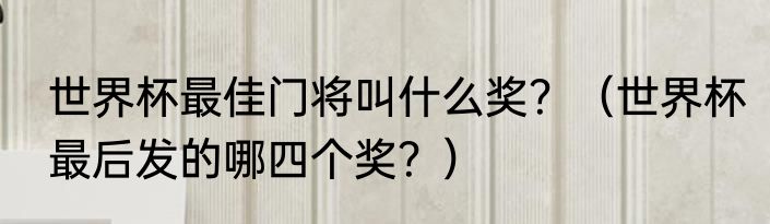 世界杯最佳门将叫什么奖？（世界杯最后发的哪四个奖？）