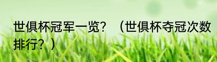世俱杯冠军一览？（世俱杯夺冠次数排行？）