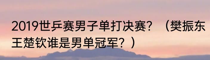 2019世乒赛男子单打决赛？（樊振东王楚钦谁是男单冠军？）