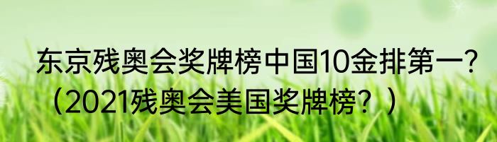 东京残奥会奖牌榜中国10金排第一？（2021残奥会美国奖牌榜？）