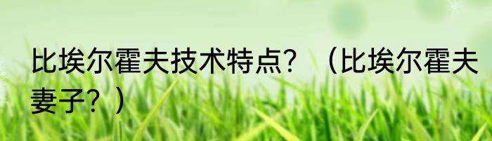 比埃尔霍夫技术特点？（比埃尔霍夫妻子？）