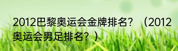 2012巴黎奥运会金牌排名？（2012奥运会男足排名？）