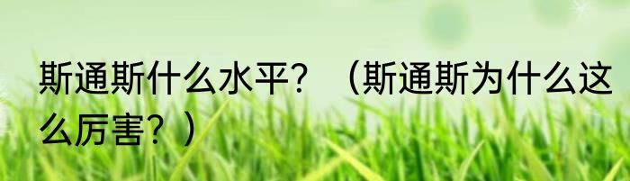 斯通斯什么水平？（斯通斯为什么这么厉害？）