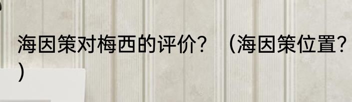 海因策对梅西的评价？（海因策位置？）