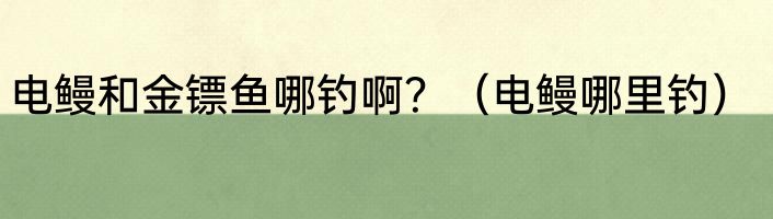 电鳗和金镖鱼哪钓啊？（电鳗哪里钓）
