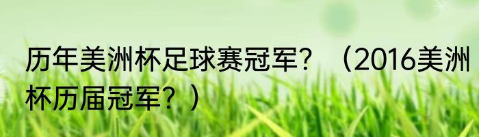 历年美洲杯足球赛冠军？（2016美洲杯历届冠军？）