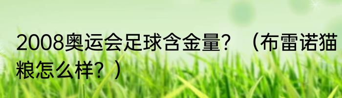 2008奥运会足球含金量？（布雷诺猫粮怎么样？）
