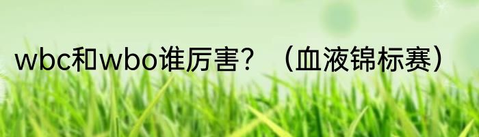 wbc和wbo谁厉害？（血液锦标赛）