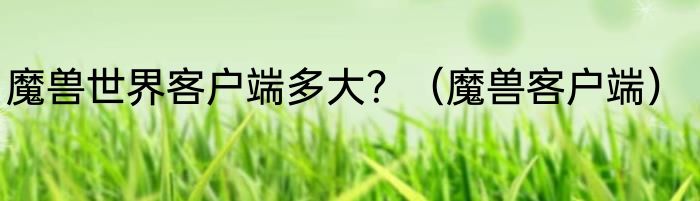 魔兽世界客户端多大？（魔兽客户端）