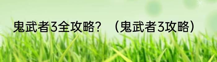 鬼武者3全攻略？（鬼武者3攻略）